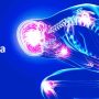 Fibromyalgia - Mayfair Wellness Clinic Gulshan