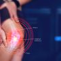 Human,Knee,Joint,Anatomical,Diagram,,Medical,Scheme.,Educational,Information,Template. - Mayfair Wellness Clinic Gulshan