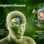 Hg - Mayfair Wellness Clinic Gulshan